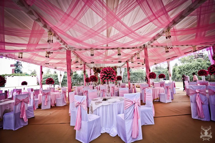 wedding venues in delhi ,Amaanta Farms