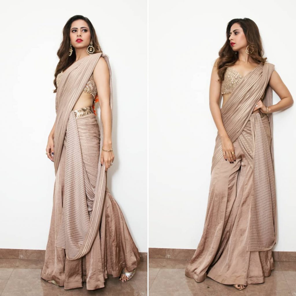 Pictures saree drape styles 25 Ways