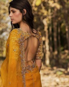 backless saree blouse