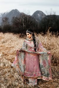 gharara suit