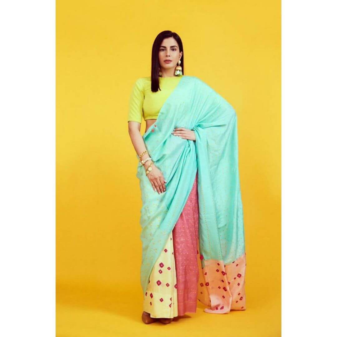 multicolored saree