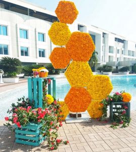 poolside photo booth decor