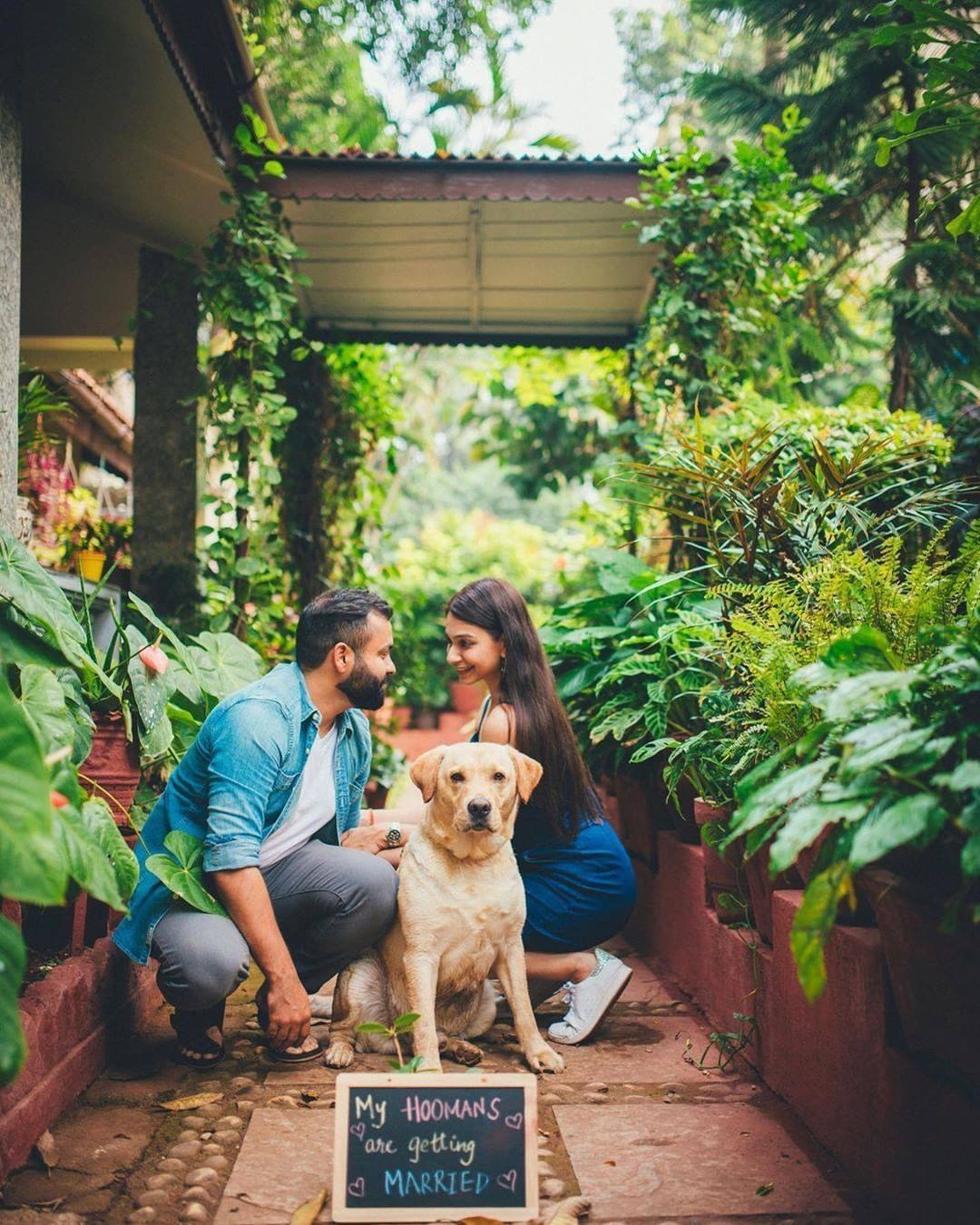 pre-wedding shoot with pets