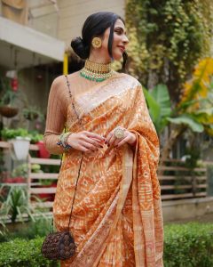 sweater blouse with saree