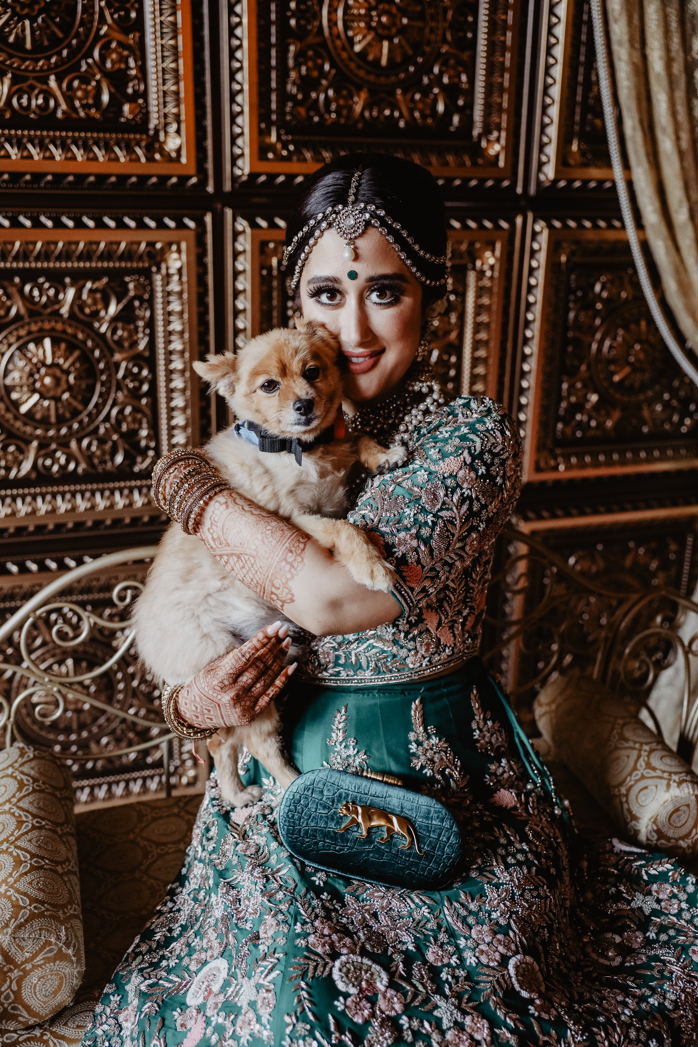 adorable bride with a dog