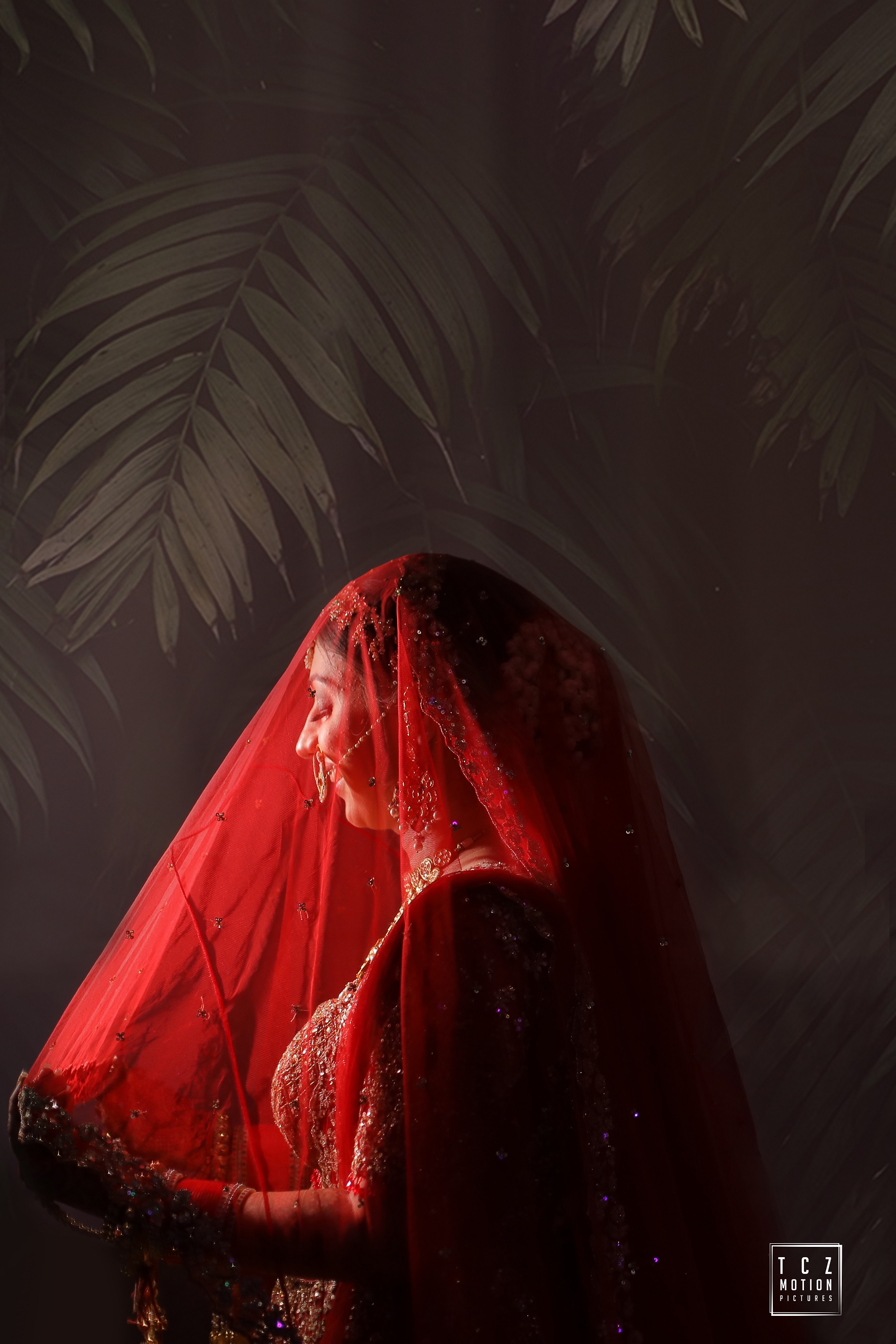 bridal portrait with veil