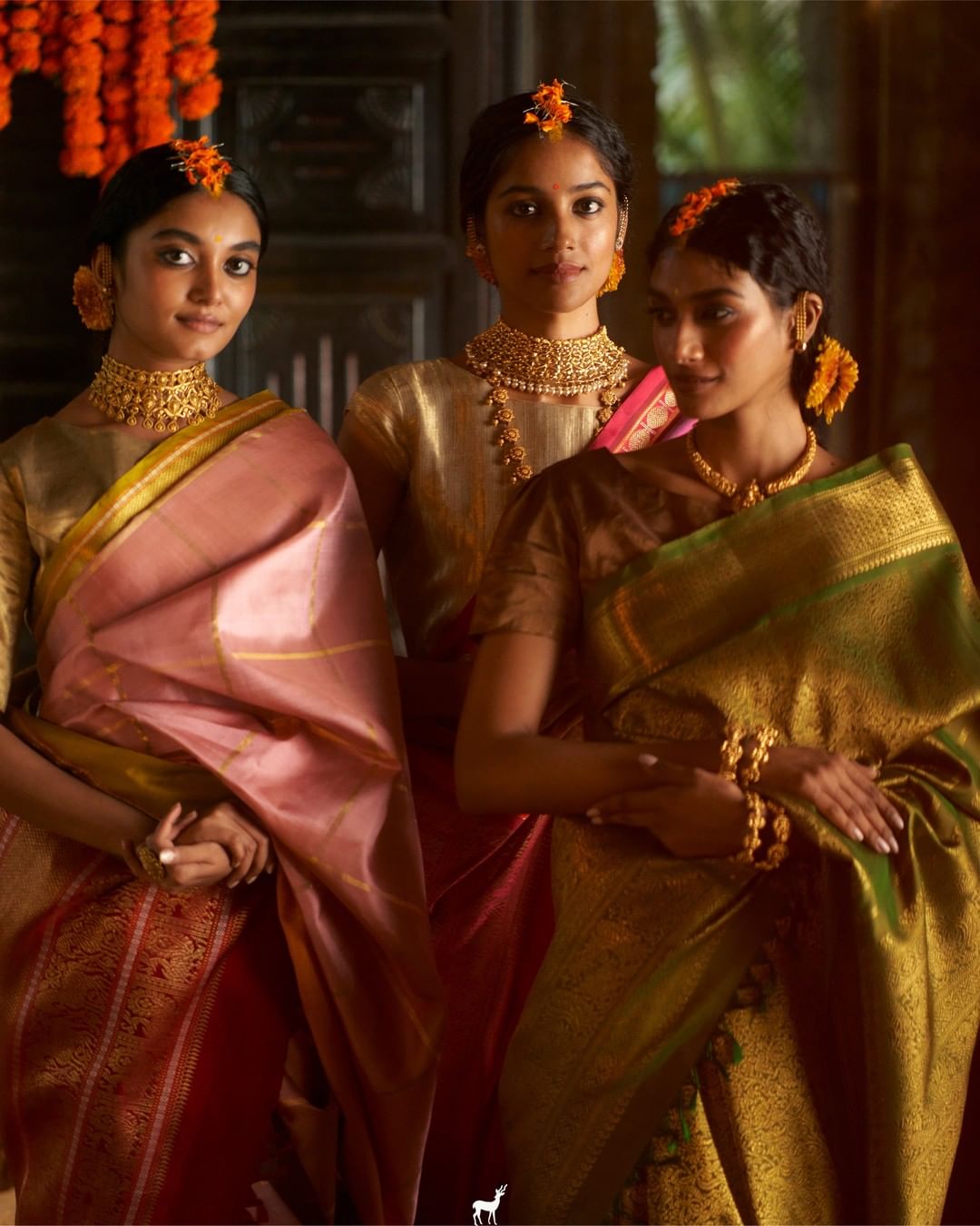 Trisha Krishnan in The Kanakavalli – Boutiquesarees.com