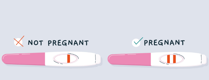 All You Need To Know About Taking A Pregnancy Test At Home
