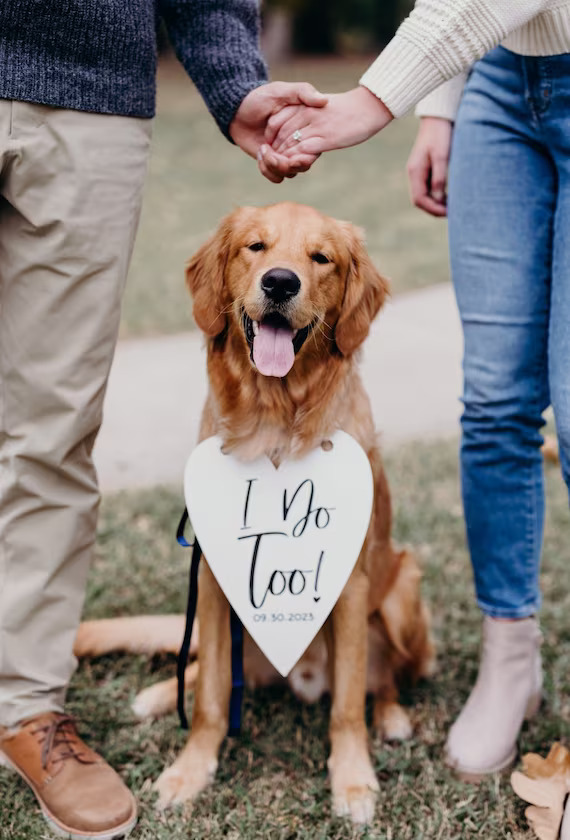 45+ Pinspirational Proposal Pictures To Share The News On Social Media