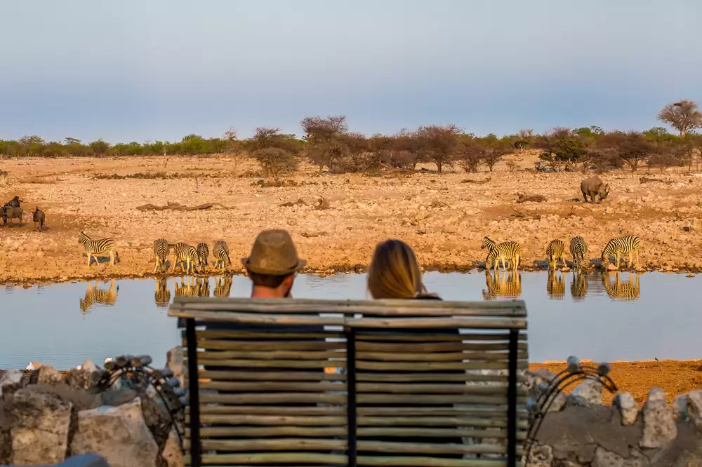Best Safari Destinations To Bookmark For A Wild Honeymoon