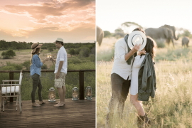 Best Safari Destinations To Bookmark For A Wild Honeymoon