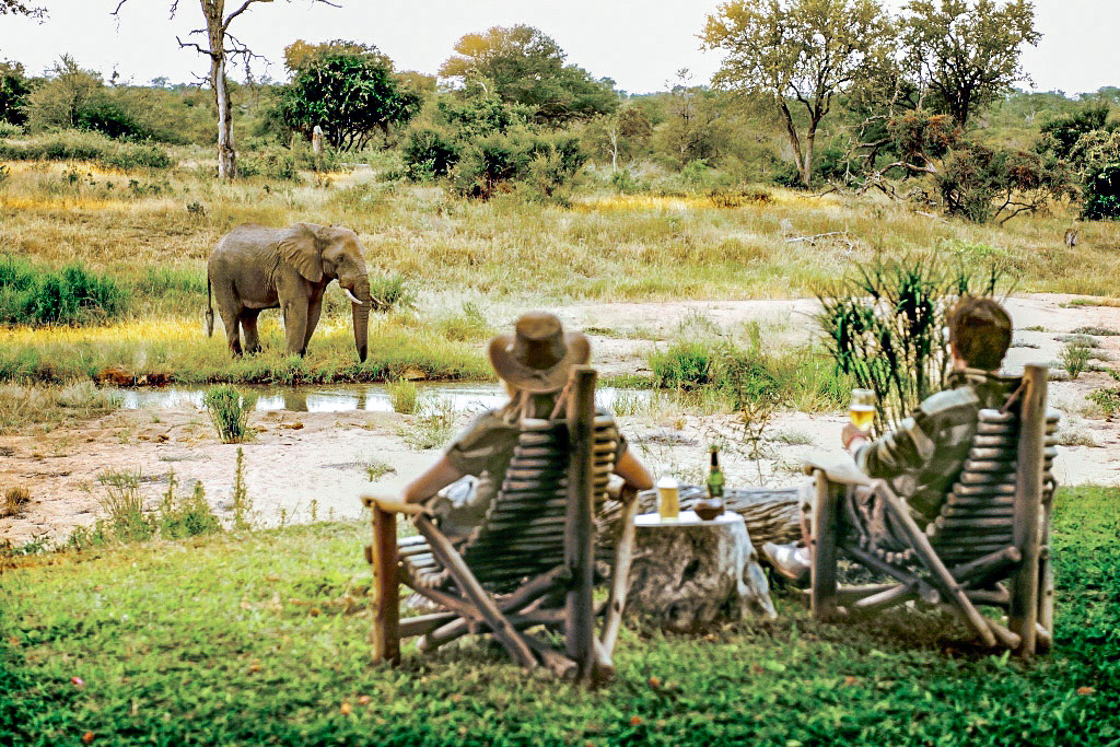 tips for planning safari honeymoon